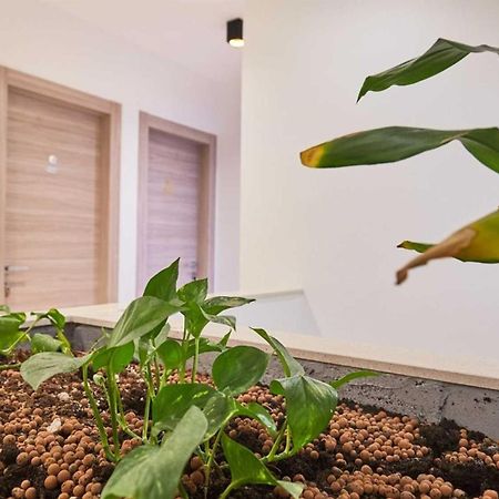 Boutique Garden Rooms 두브로브니크 외부 사진