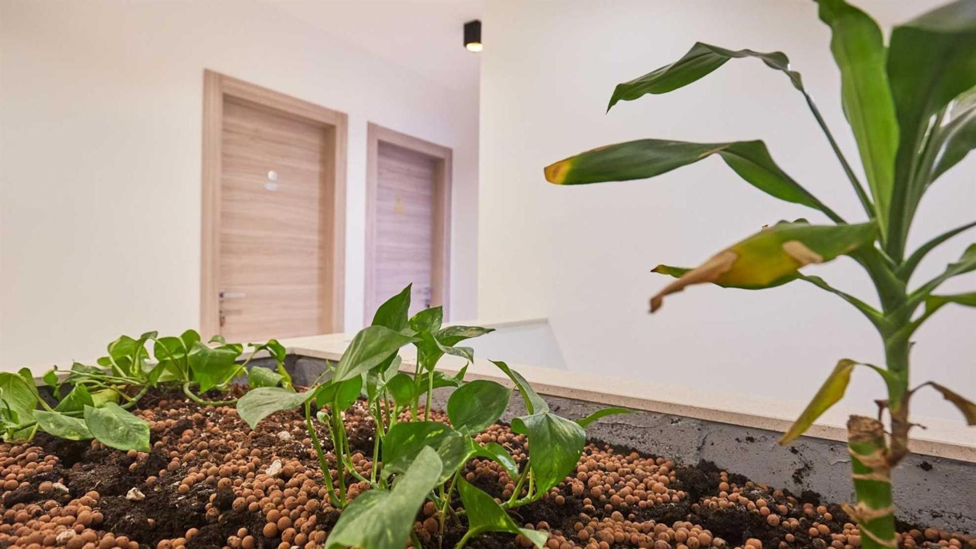 Boutique Garden Rooms 두브로브니크 외부 사진
